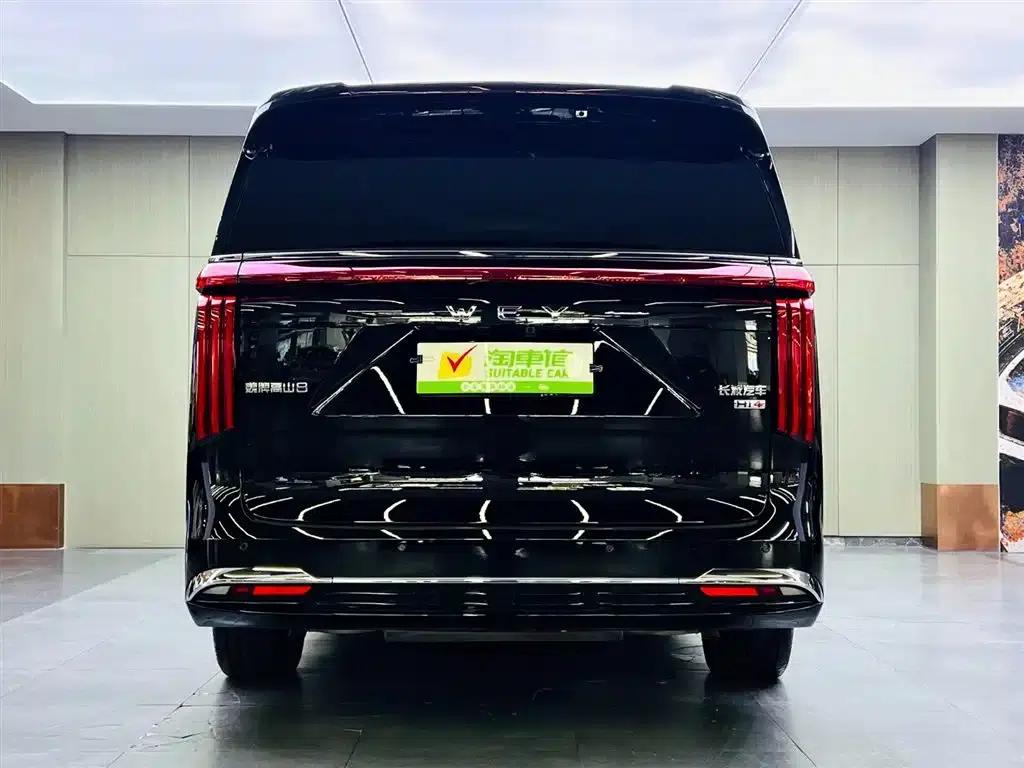 Weipai Gaoshan 2025 Model 4WD Gaoshan 8 — миниатюра 5