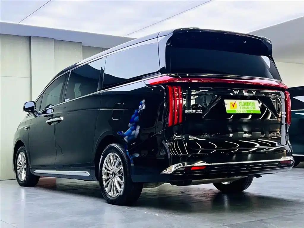 Weipai Gaoshan 2025 Model 4WD Gaoshan 8 — миниатюра 6