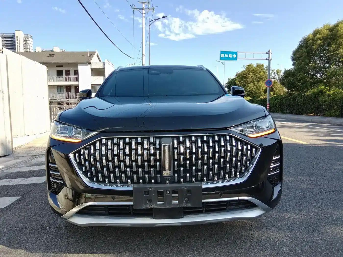 Wei brand Mocha 2021 2.0T 2WD Extra Rich Edition — миниатюра 2