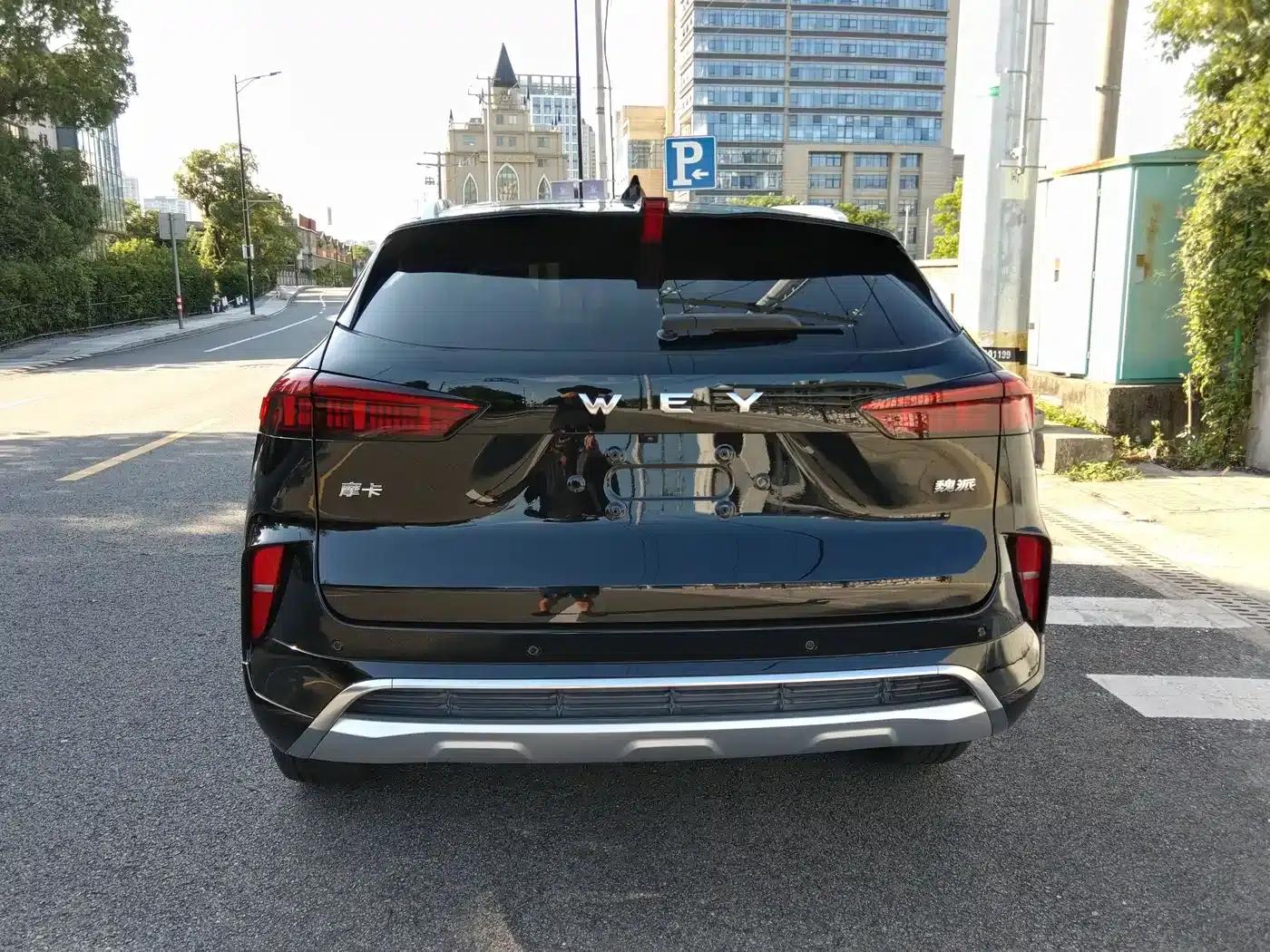Wei brand Mocha 2021 2.0T 2WD Extra Rich Edition — миниатюра 16