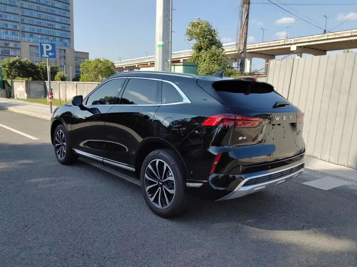 Wei brand Mocha 2021 2.0T 2WD Extra Rich Edition — миниатюра 17