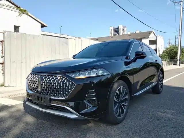 Wei brand Mocha 2021 2.0T 2WD Extra Rich Edition