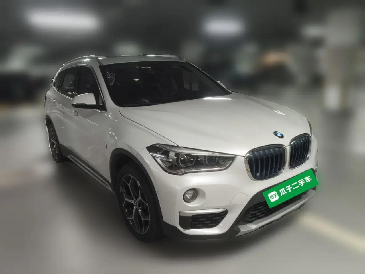 BMW X1 New Energy 2018 xDrive25Le Luxury Model — миниатюра 3