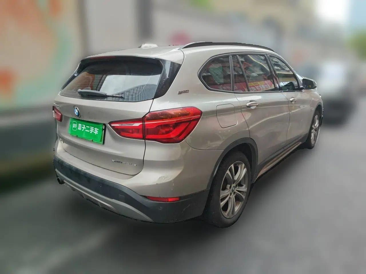 BMW X1 New Energy 2018 xDrive25Le Luxury Model — миниатюра 6