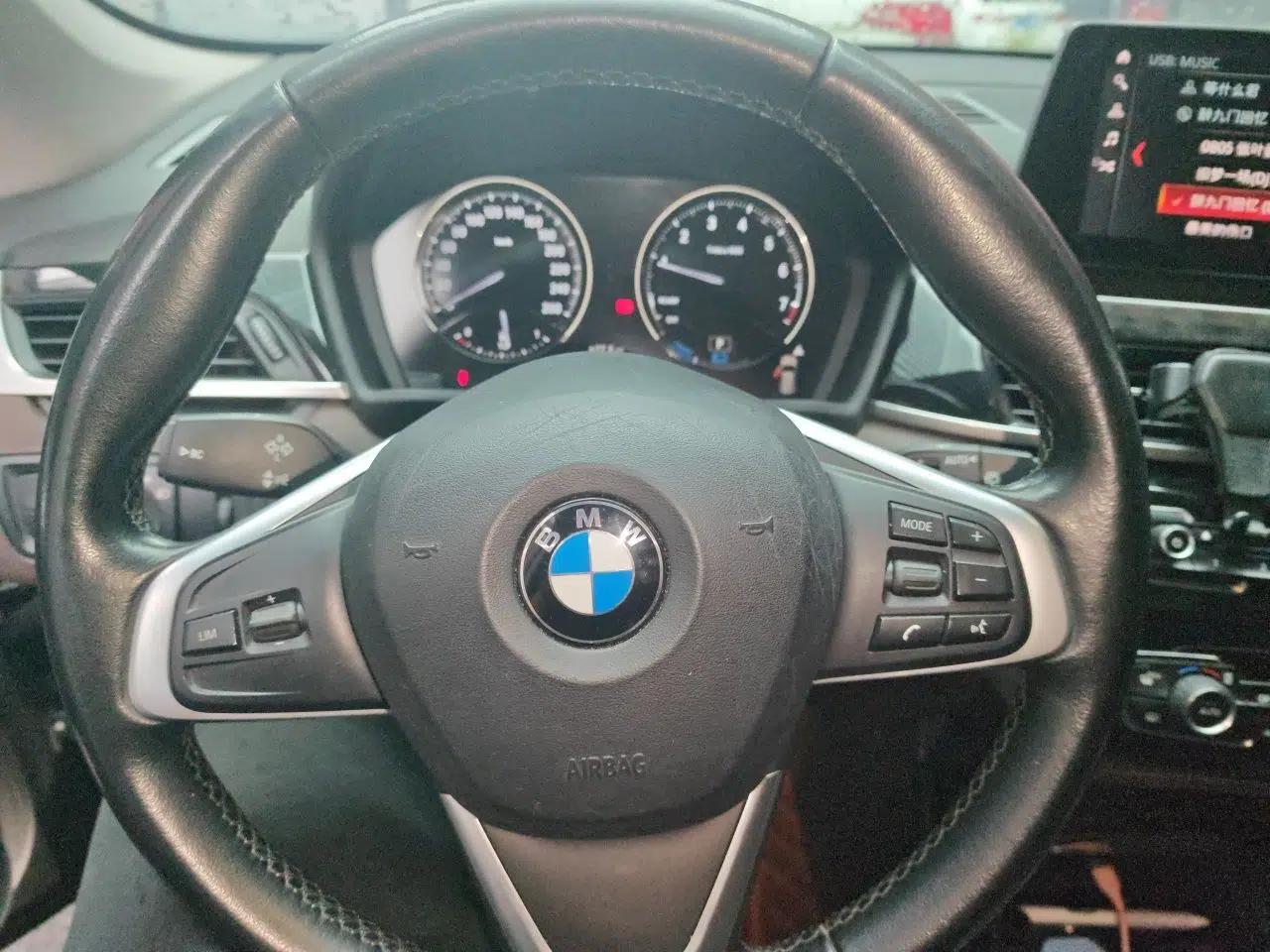 BMW X1 New Energy 2018 xDrive25Le Luxury Model — миниатюра 10