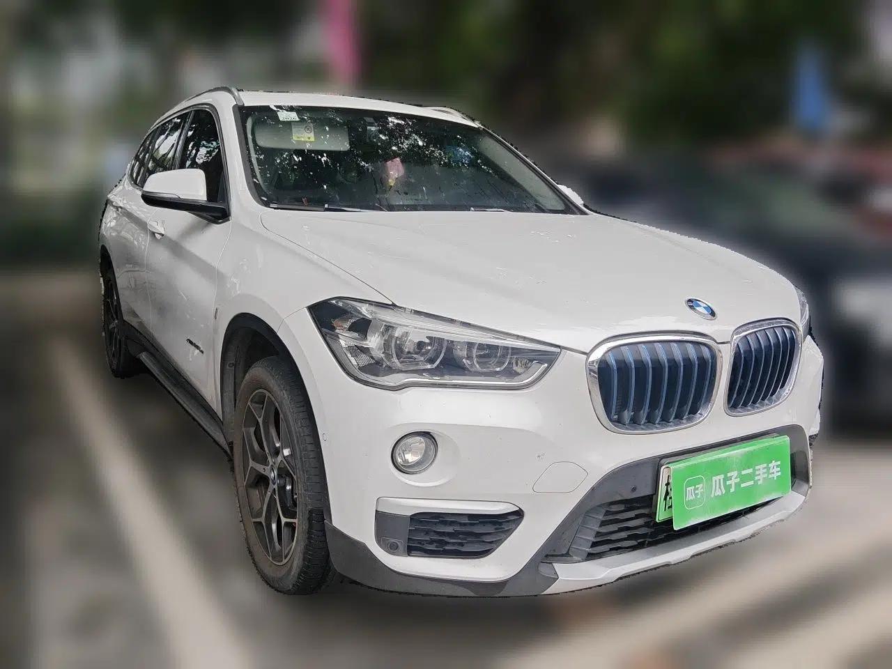 BMW X1 New Energy 2018 xDrive25Le Luxury Model — миниатюра 3