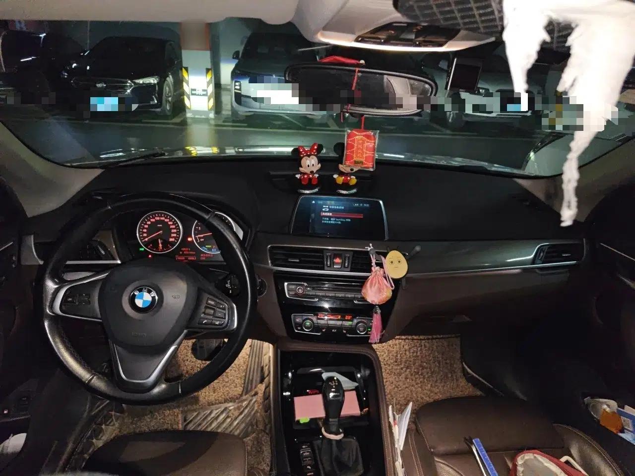 BMW X1 New Energy 2018 xDrive25Le Luxury Model — миниатюра 9