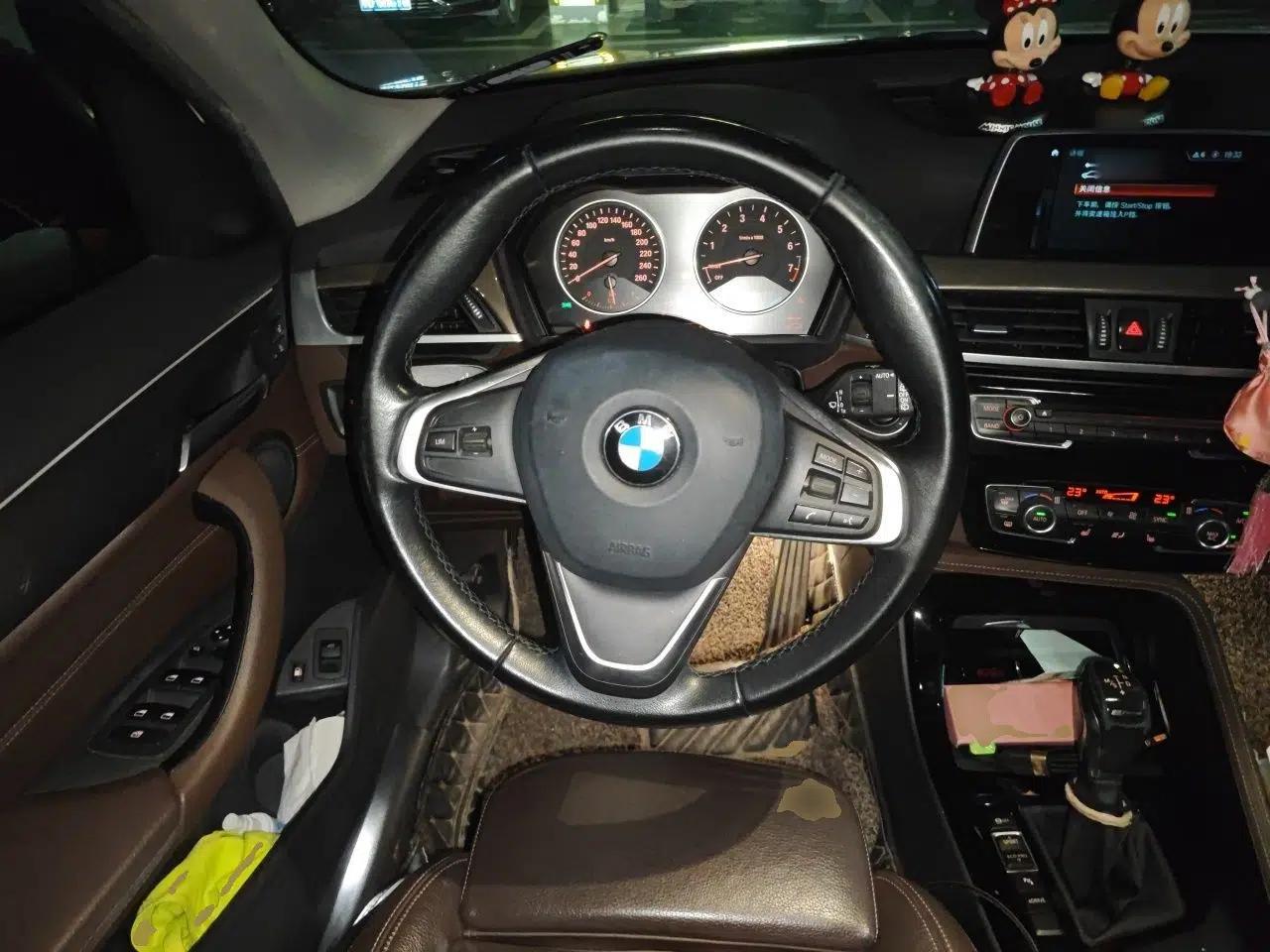 BMW X1 New Energy 2018 xDrive25Le Luxury Model — миниатюра 10