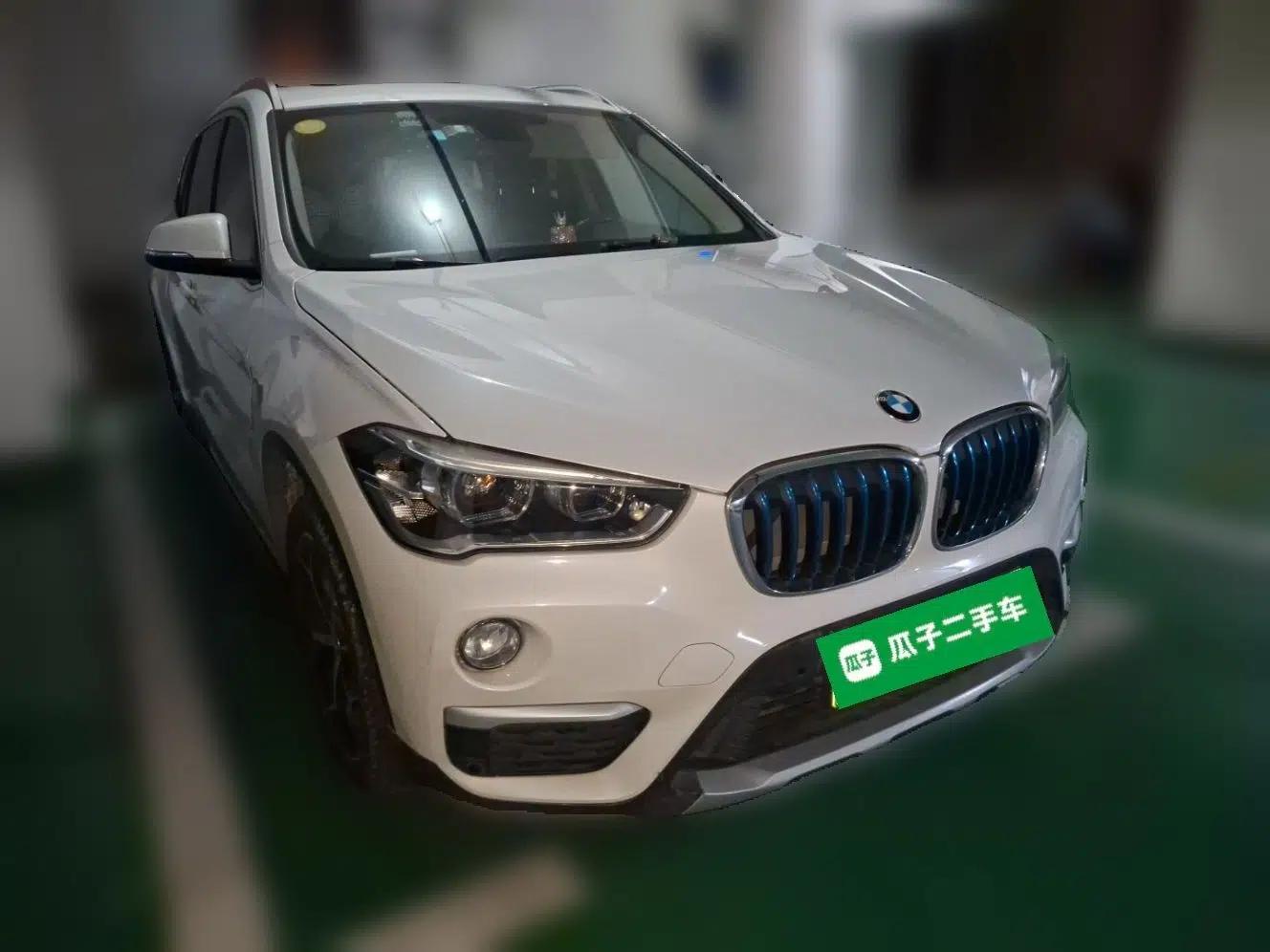 BMW X1 New Energy 2019 xDrive25Le Luxury Model — миниатюра 3