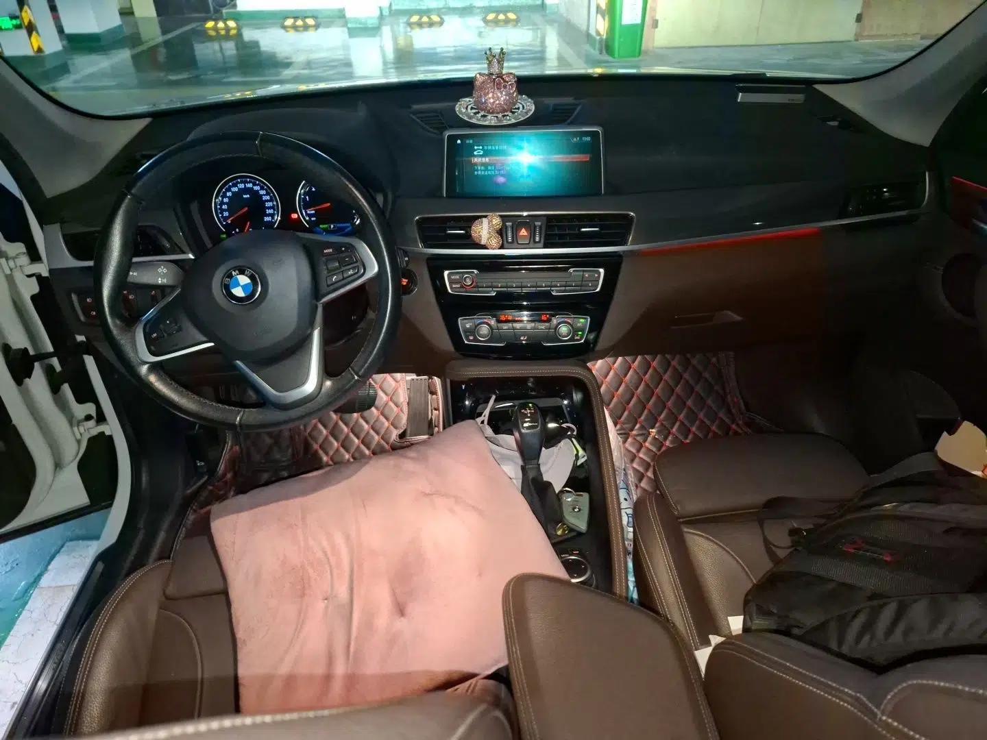 BMW X1 New Energy 2019 xDrive25Le Luxury Model — миниатюра 9
