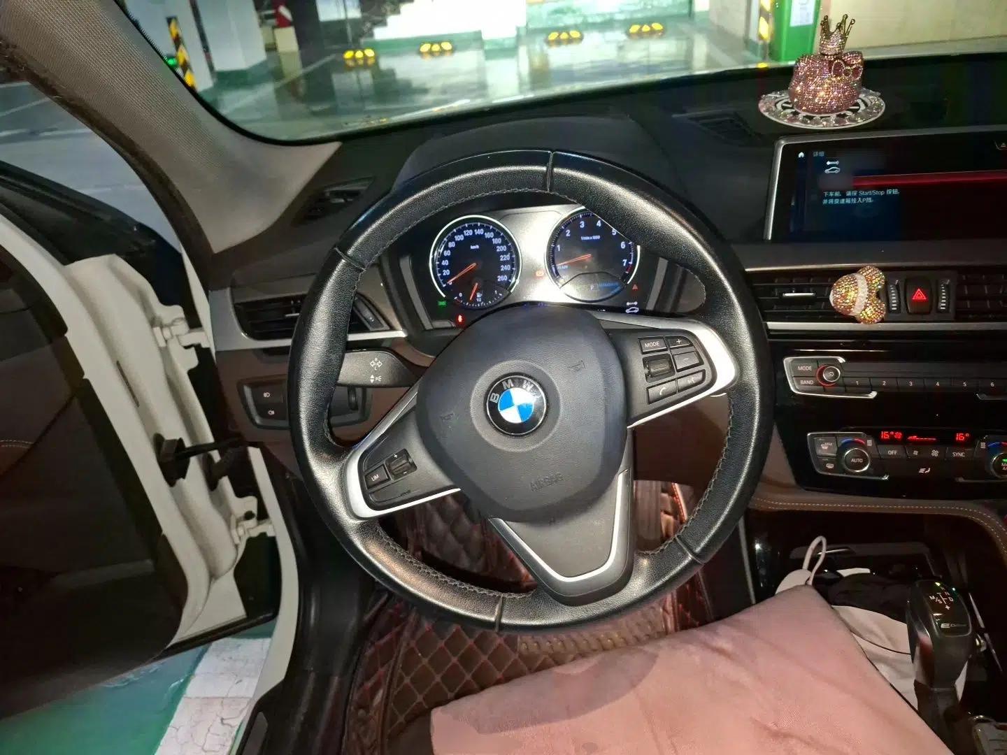BMW X1 New Energy 2019 xDrive25Le Luxury Model — миниатюра 10