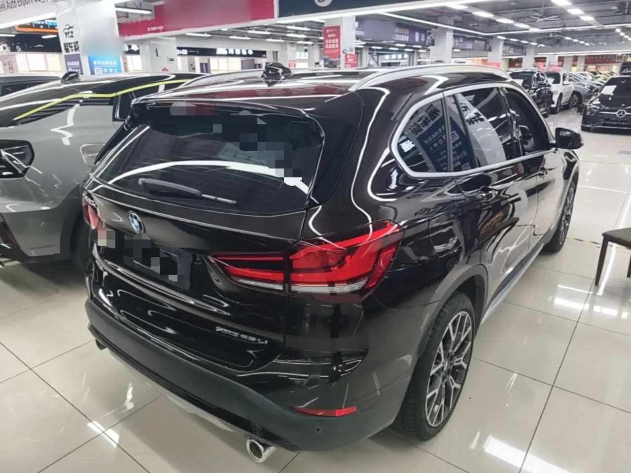 BMW X1 2020 xDrive25Li Luxury Edition — миниатюра 6