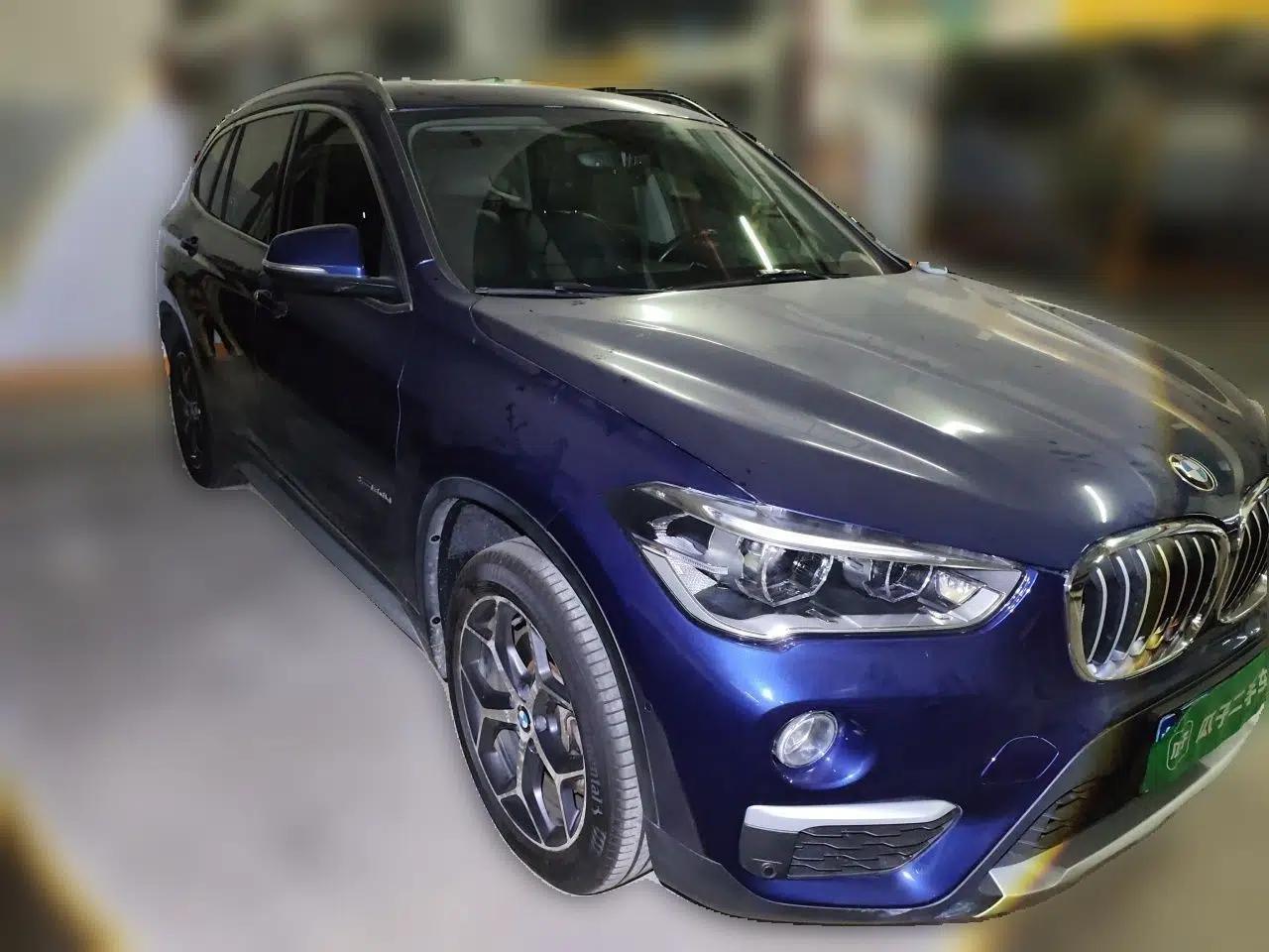 BMW X1 2018 xDrive20Li Luxury Model — миниатюра 3