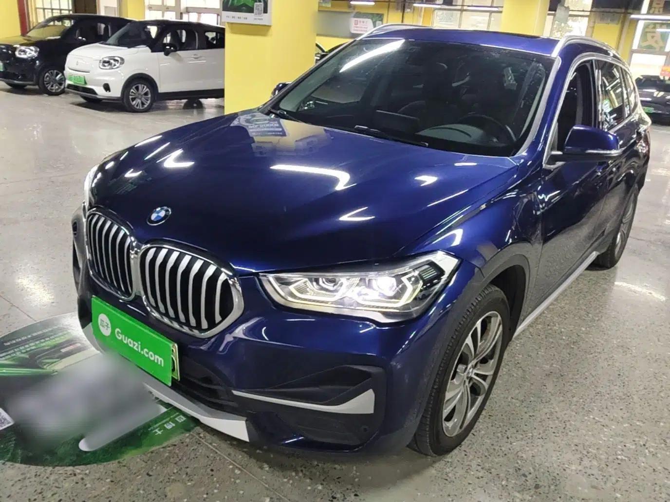 BMW X1 New Energy 2020 xDrive30Le Premium Edition — миниатюра 1