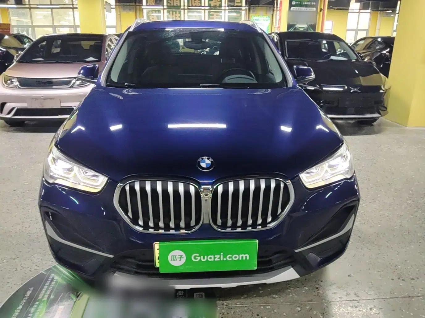 BMW X1 New Energy 2020 xDrive30Le Premium Edition — миниатюра 2