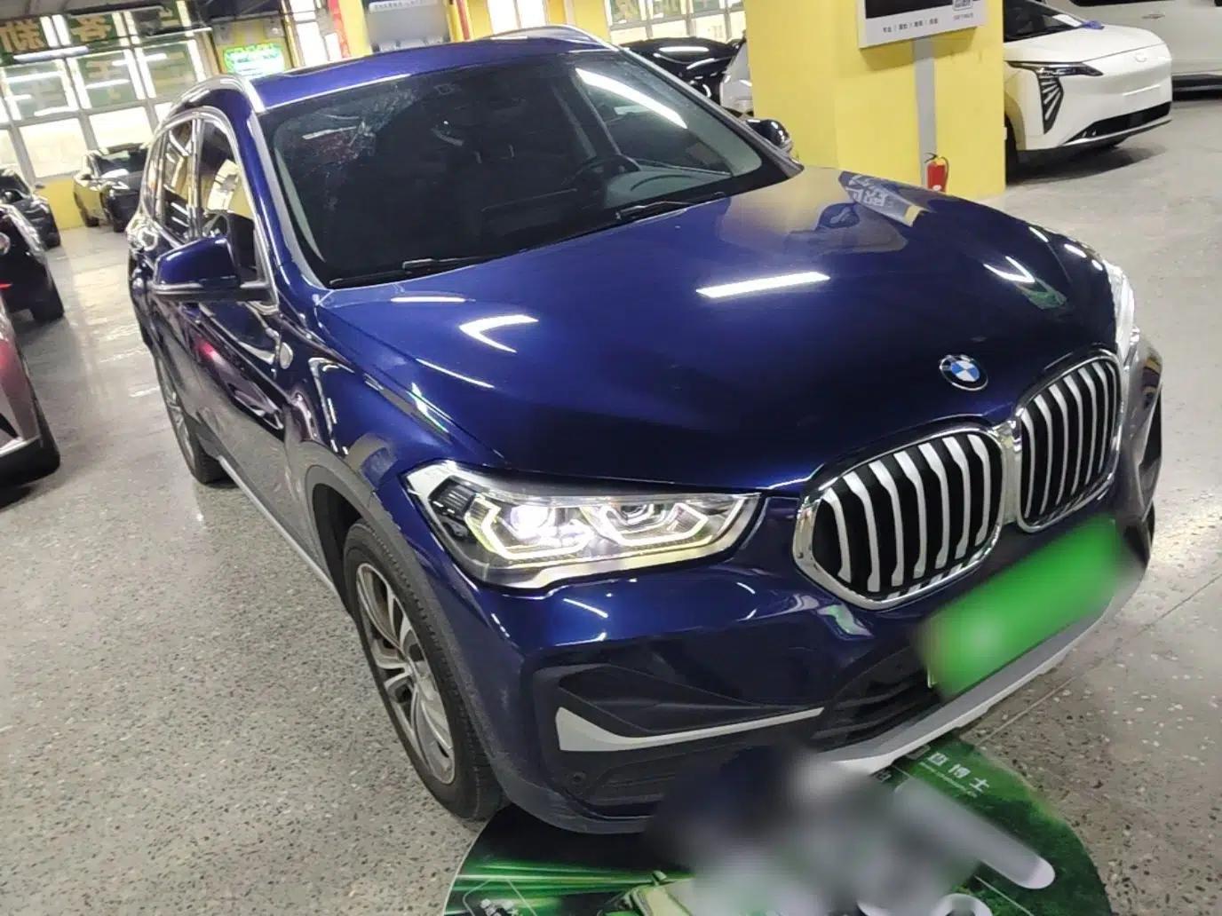 BMW X1 New Energy 2020 xDrive30Le Premium Edition — миниатюра 3