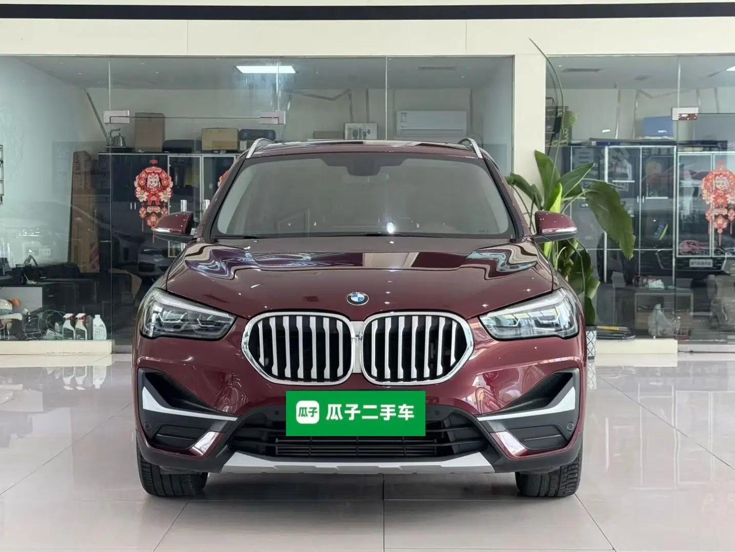 BMW X1 New Energy 2020 xDrive30Le Premium Edition — миниатюра 2