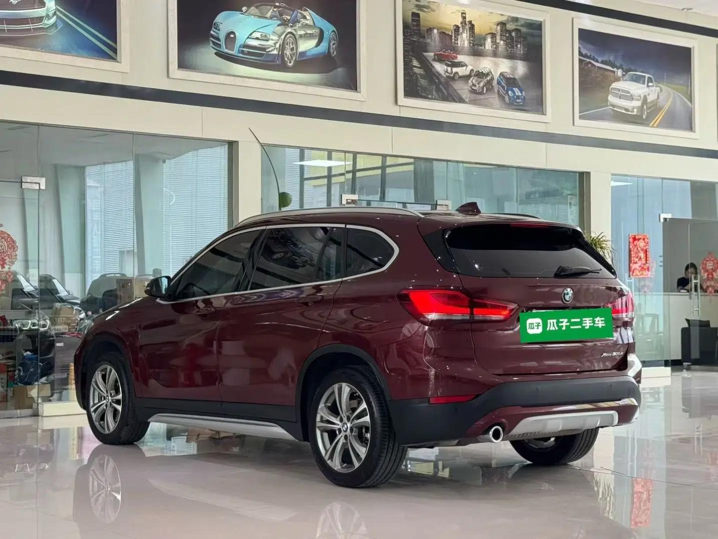 BMW X1 New Energy 2020 xDrive30Le Premium Edition — миниатюра 4