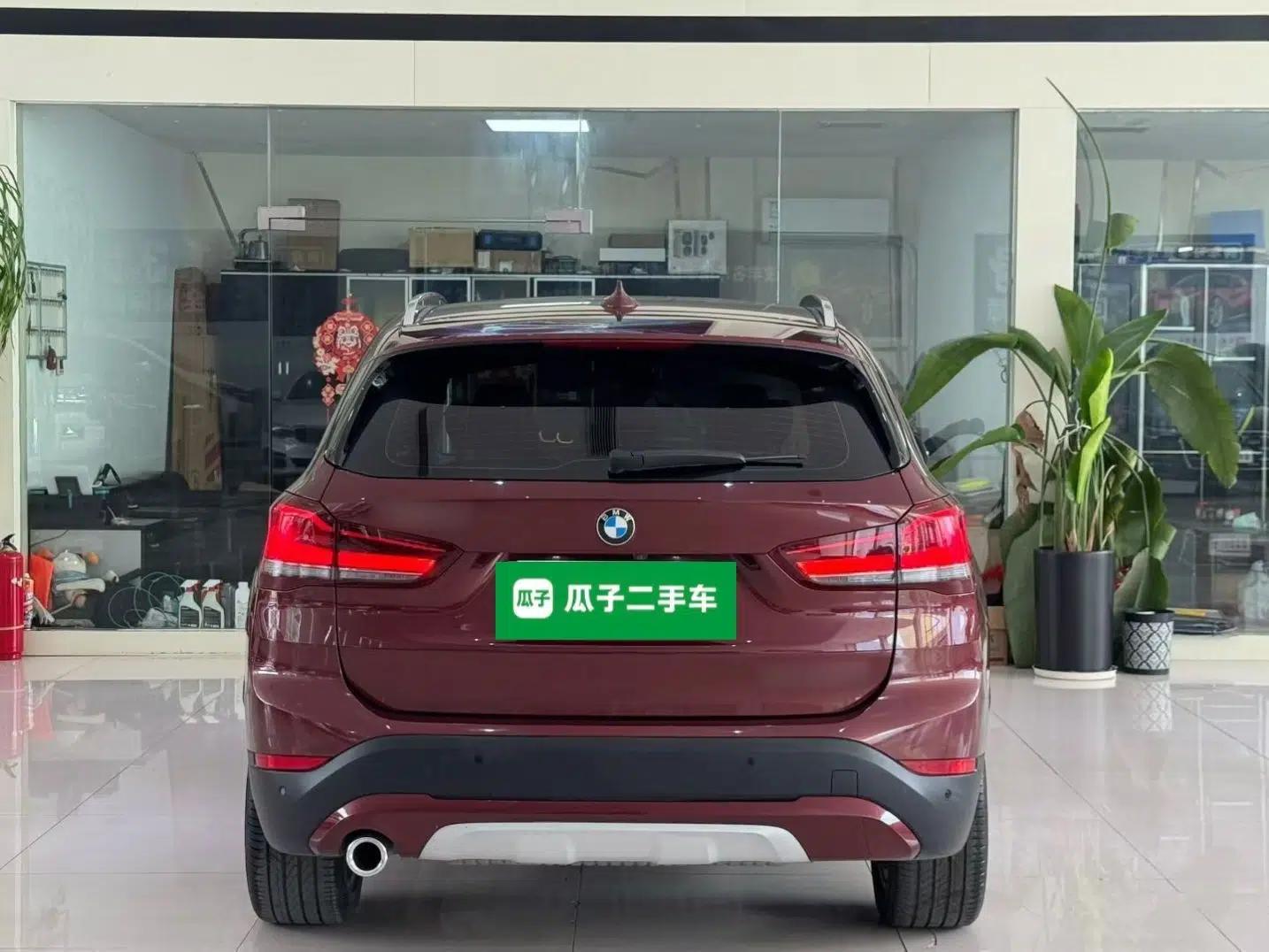 BMW X1 New Energy 2020 xDrive30Le Premium Edition — миниатюра 5