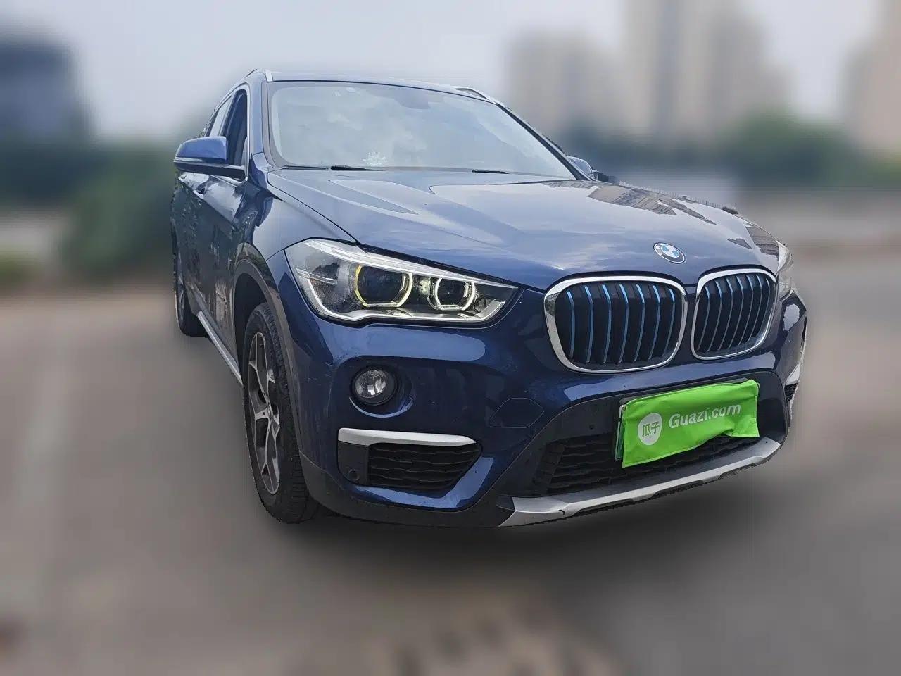 BMW X1 New Energy 2018 xDrive25Le Luxury Model — миниатюра 3