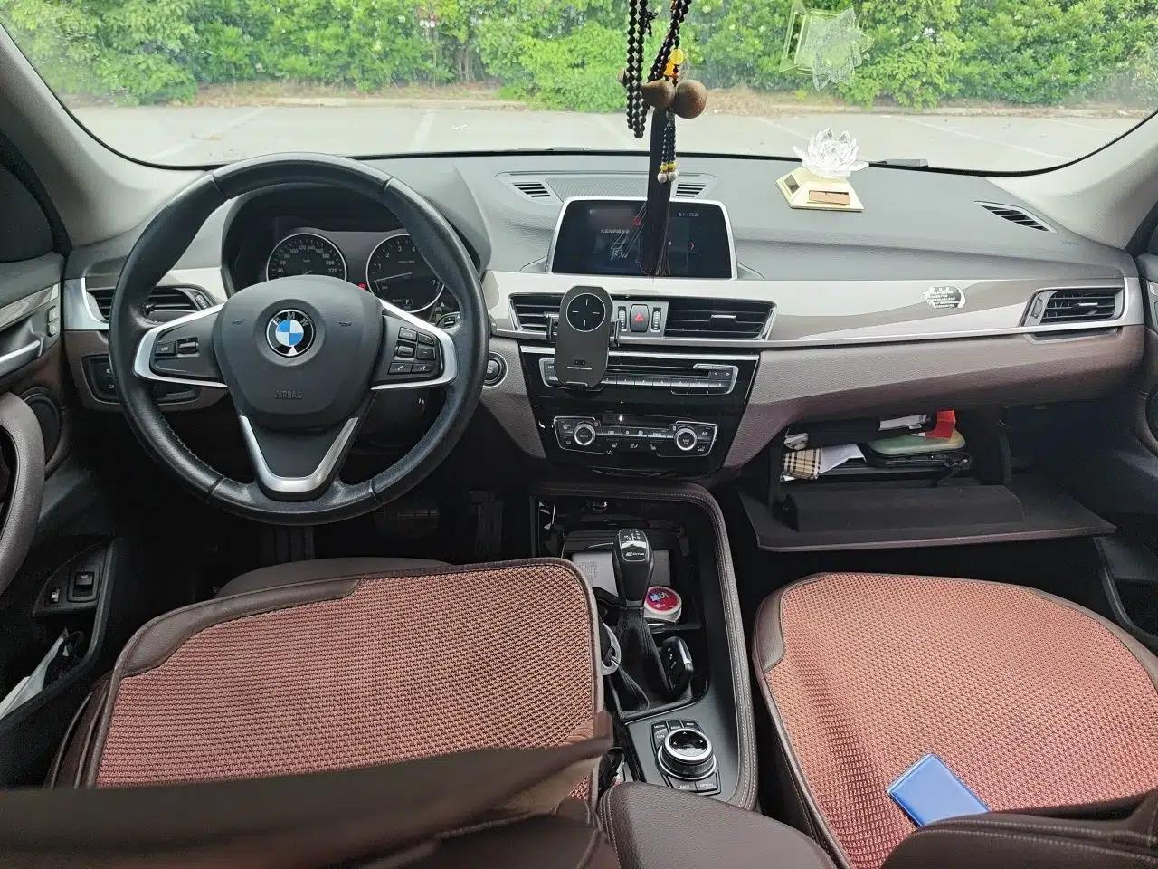 BMW X1 New Energy 2018 xDrive25Le Luxury Model — миниатюра 9