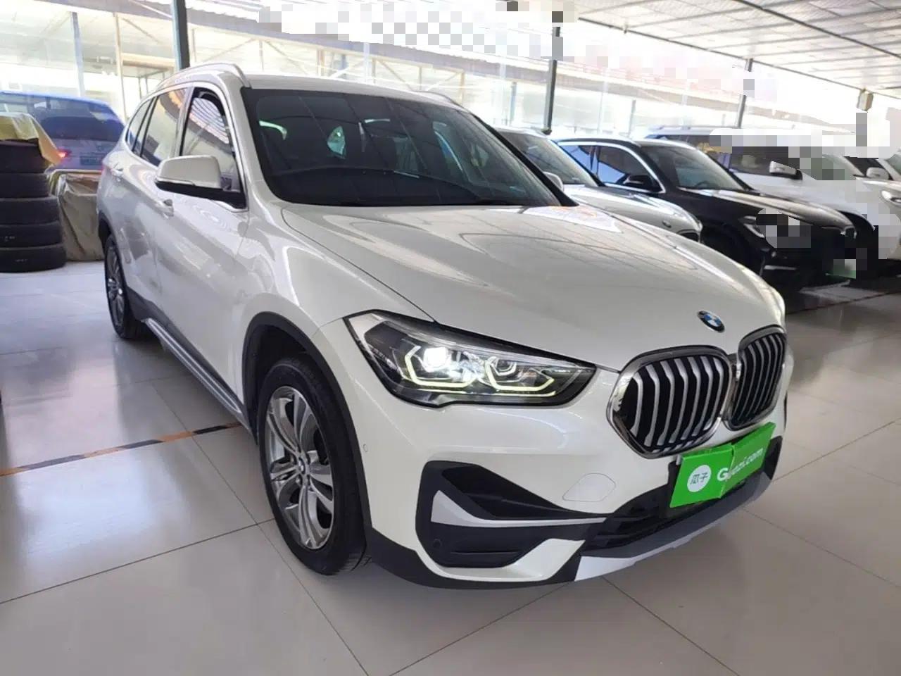 BMW X1 New Energy 2020 xDrive30Le Premium Edition — миниатюра 3