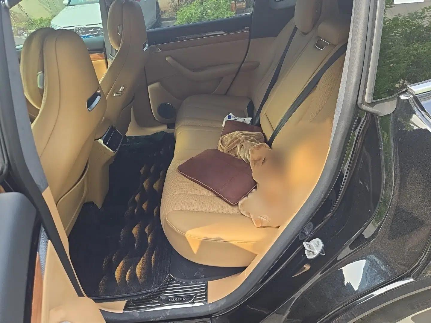 Hima Luxeed R7 2024 Pure Electric 667km Pro — миниатюра 25