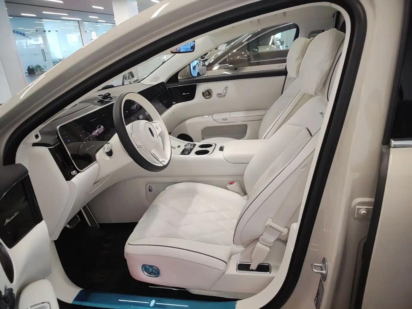 Hima S800 2025 Model, Pure Electric Starlight Executive Edition, 4 Seats — миниатюра 17