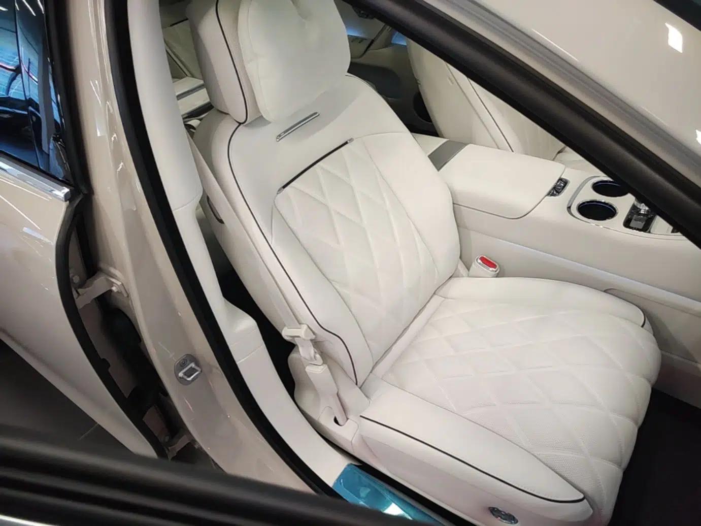 Hima S800 2025 Model, Pure Electric Starlight Executive Edition, 4 Seats — миниатюра 19
