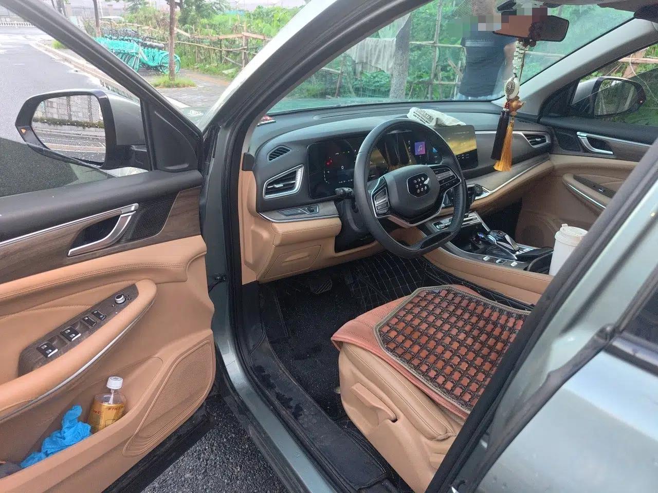 Landian E5 2024 Honor Edition 100KM Comfort Model 7 Seats — миниатюра 16