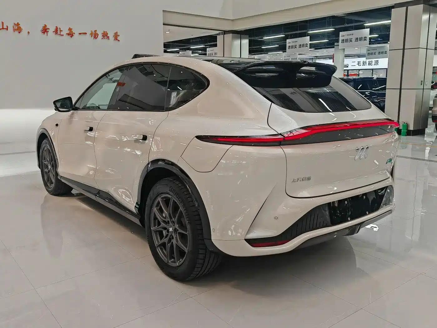 2024 Smart LS7 90kWh Max Elite Rear-Wheel Drive Edition — миниатюра 5