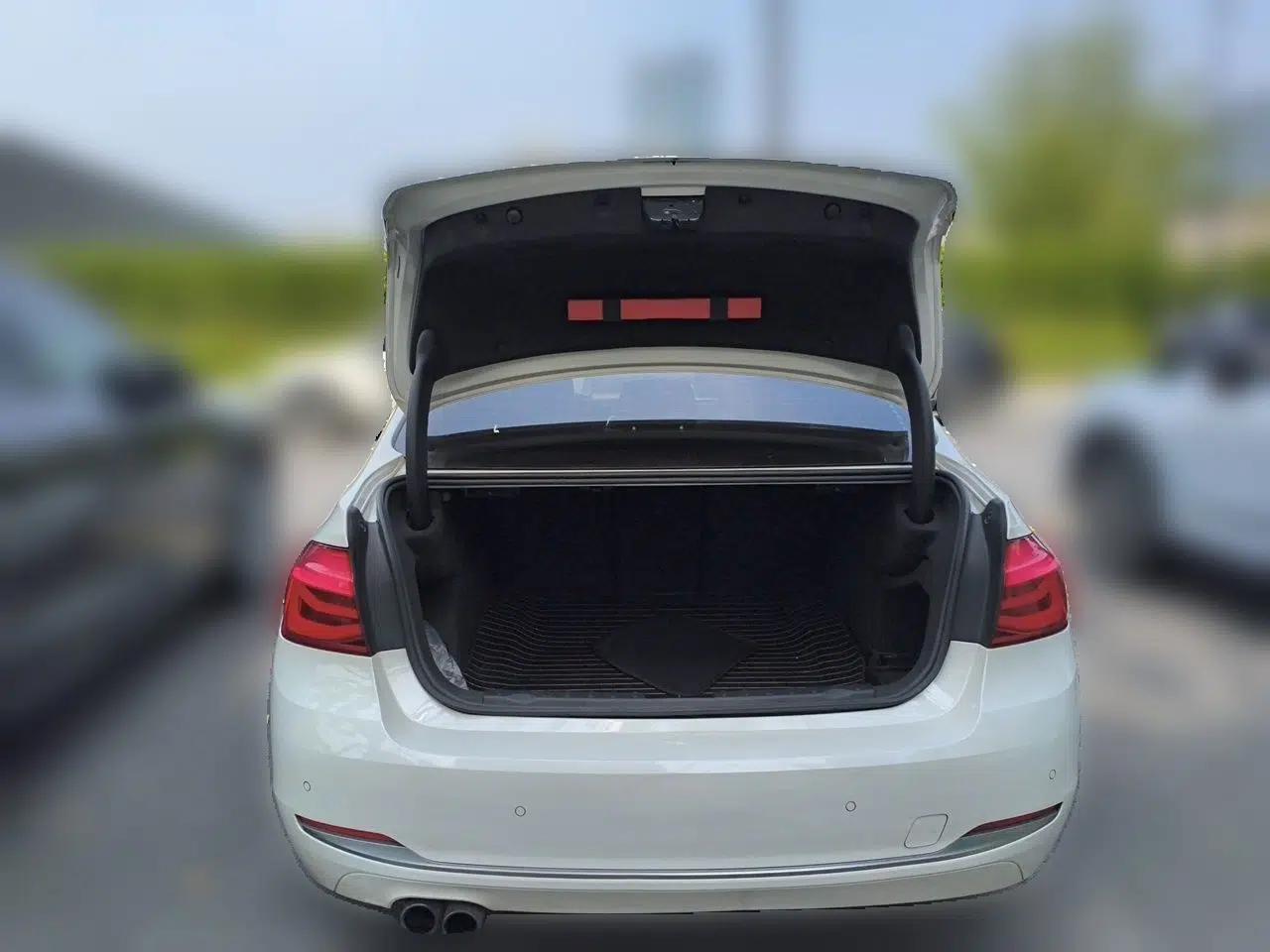BMW 3 Series 2017 320Li Fashion Model — миниатюра 14