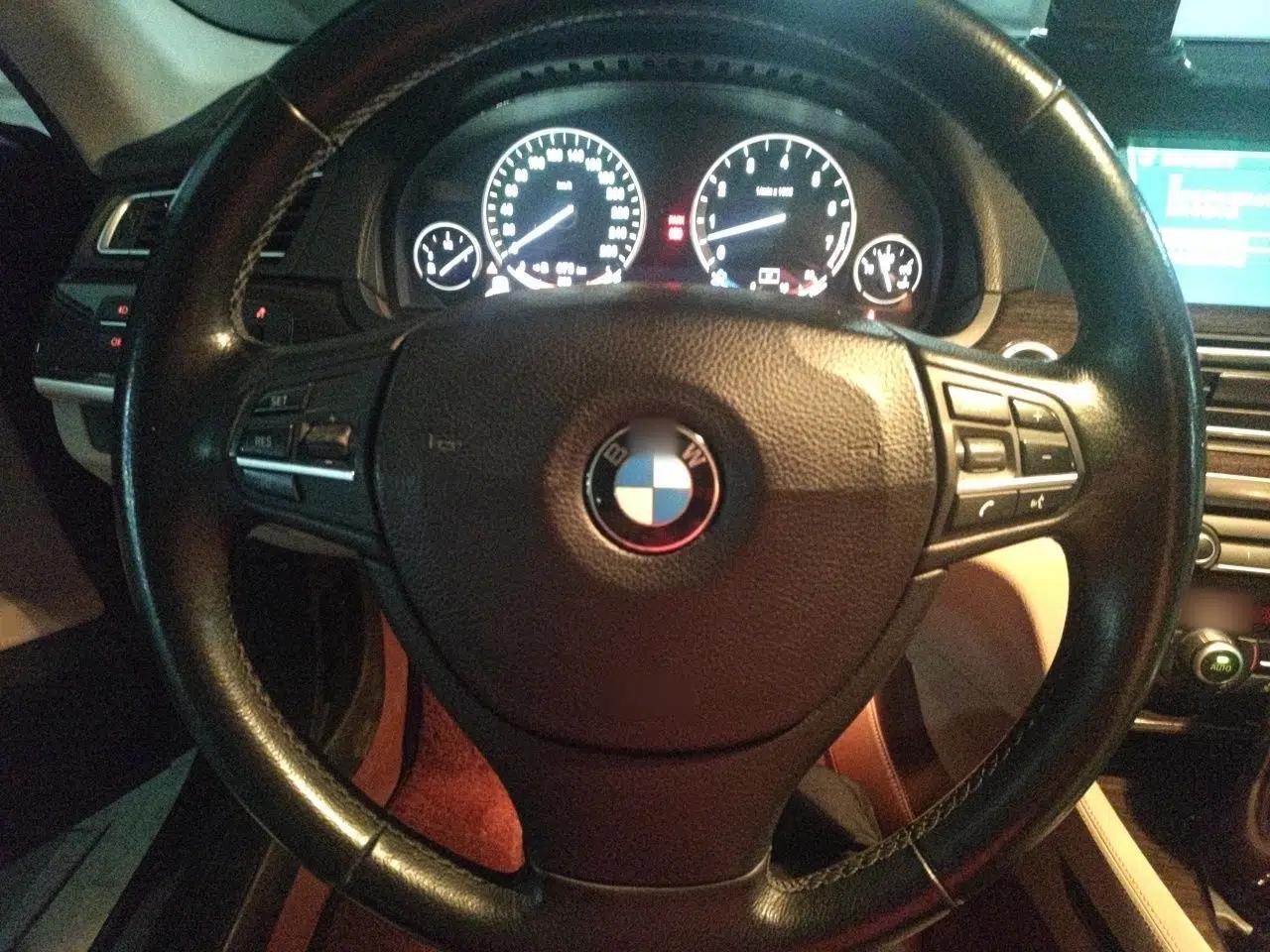 BMW 7 Series 2010 4.4T hybrid version — миниатюра 10