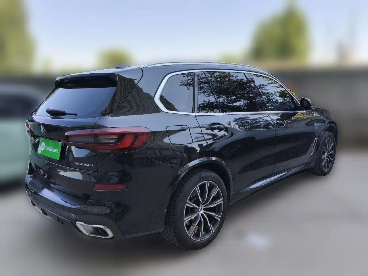BMW X5 2022 xDrive 30Li Luxury M Sport Package — миниатюра 6