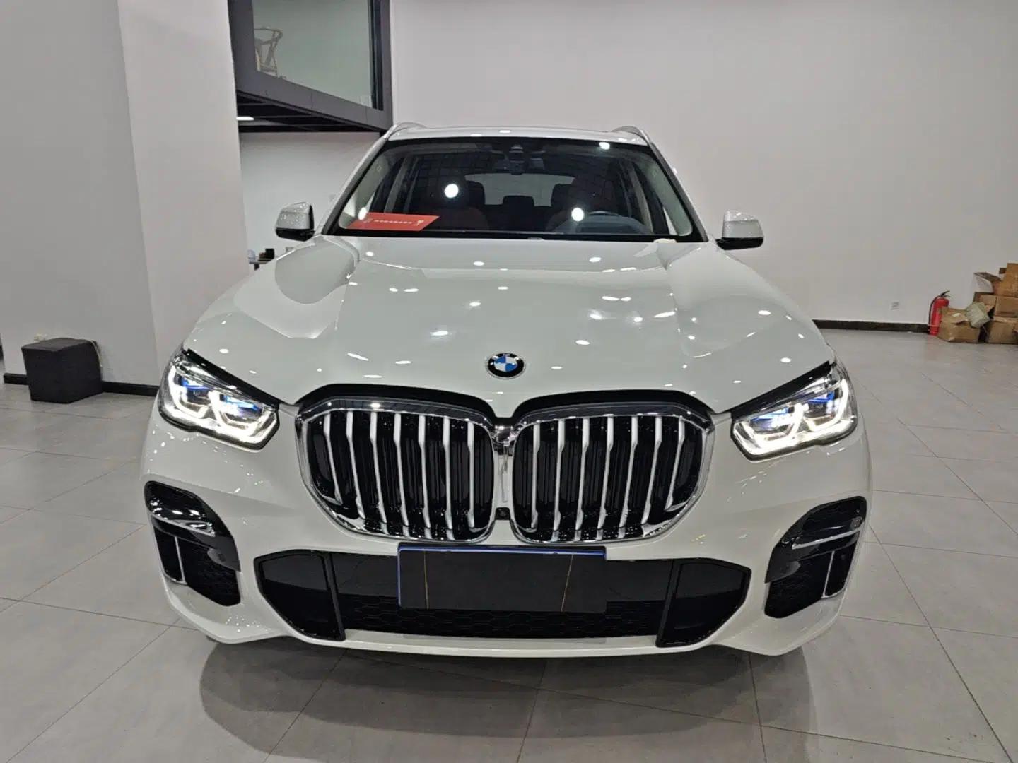BMW X5 2022 Restyled xDrive 30Li Luxury Version M Sport Package — миниатюра 2