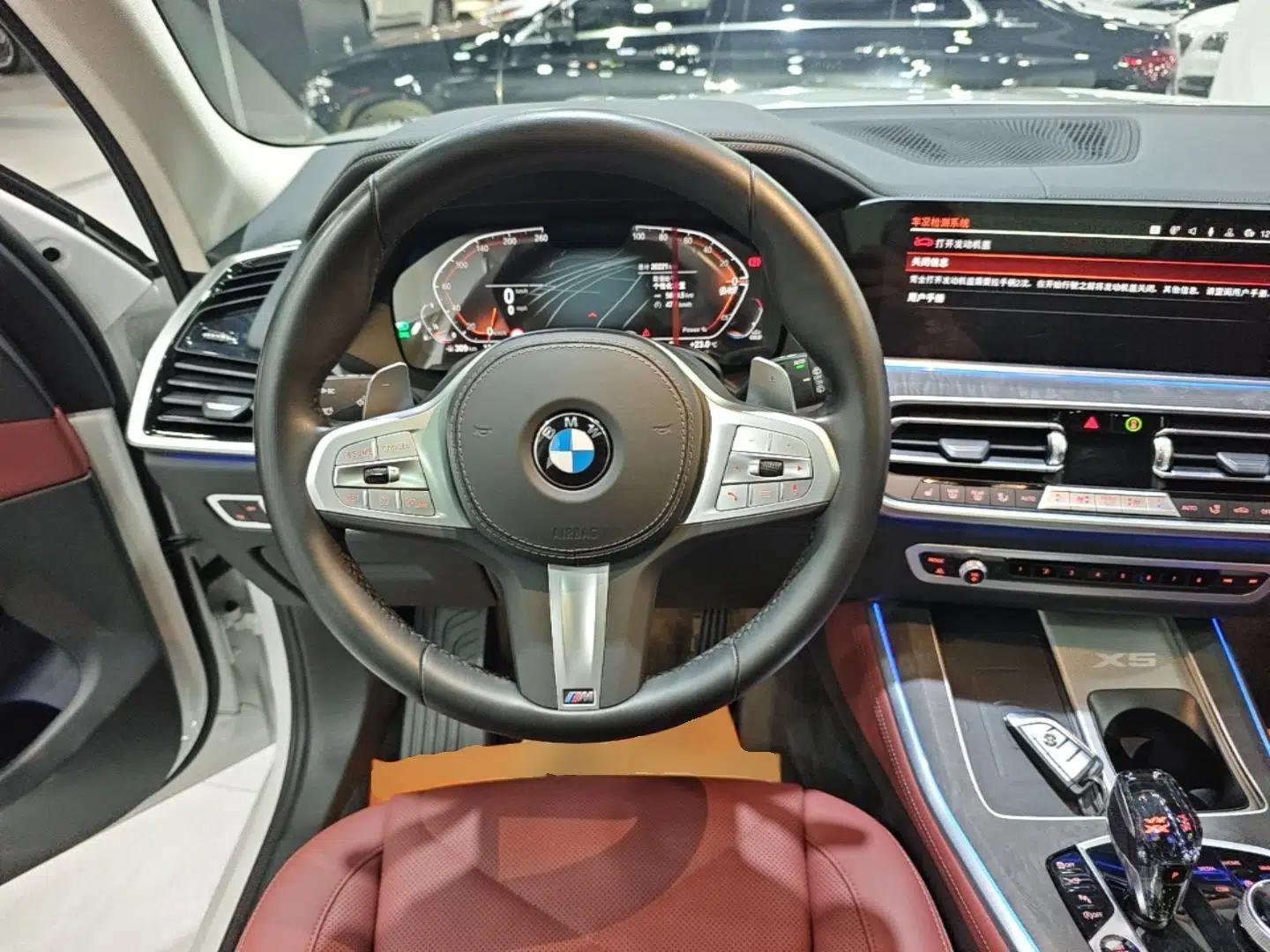 BMW X5 2022 Restyled xDrive 30Li Luxury Version M Sport Package — миниатюра 13