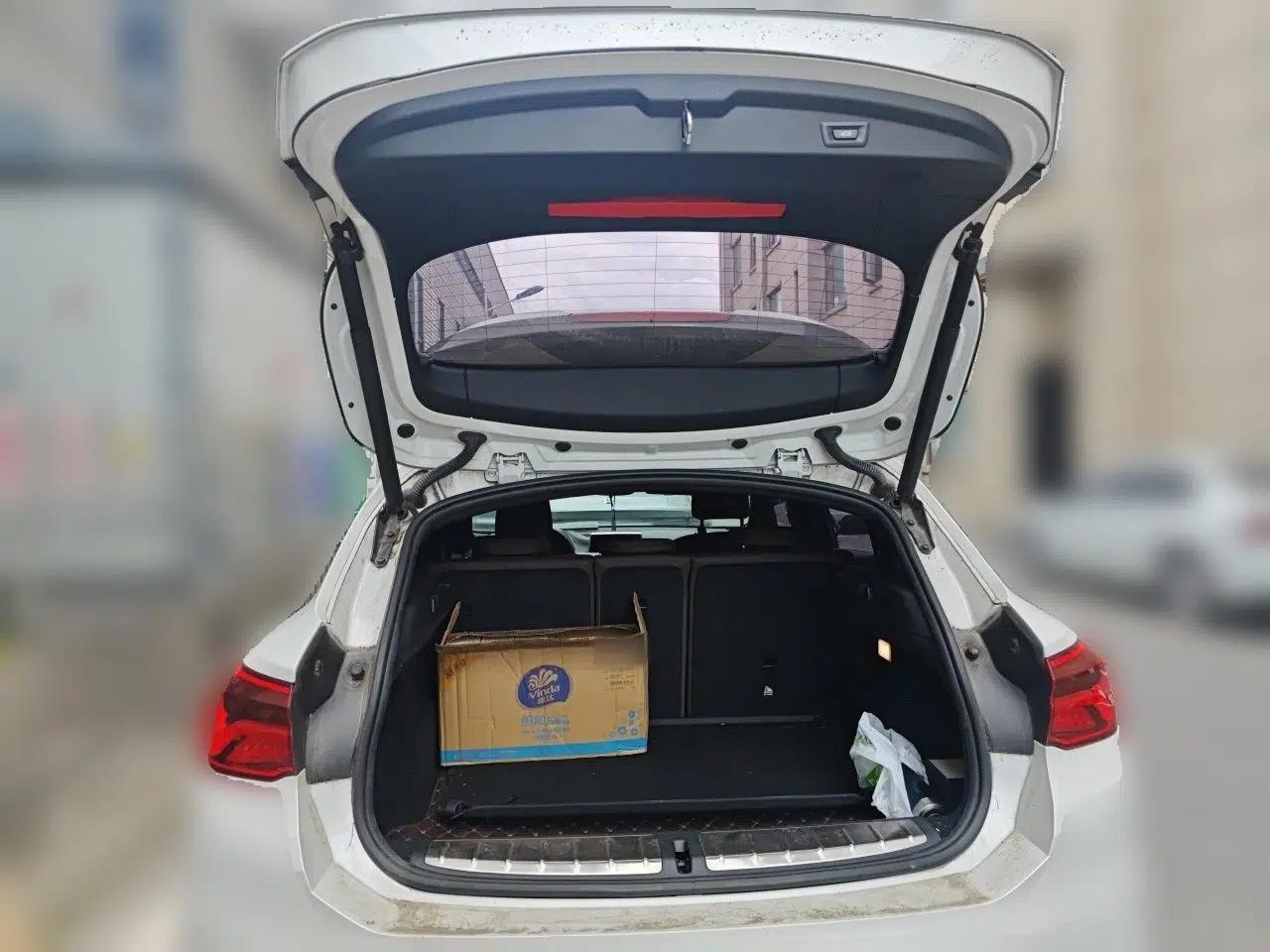 BMW X2 2020 sDrive25i Leading Model M Sport Package — миниатюра 19
