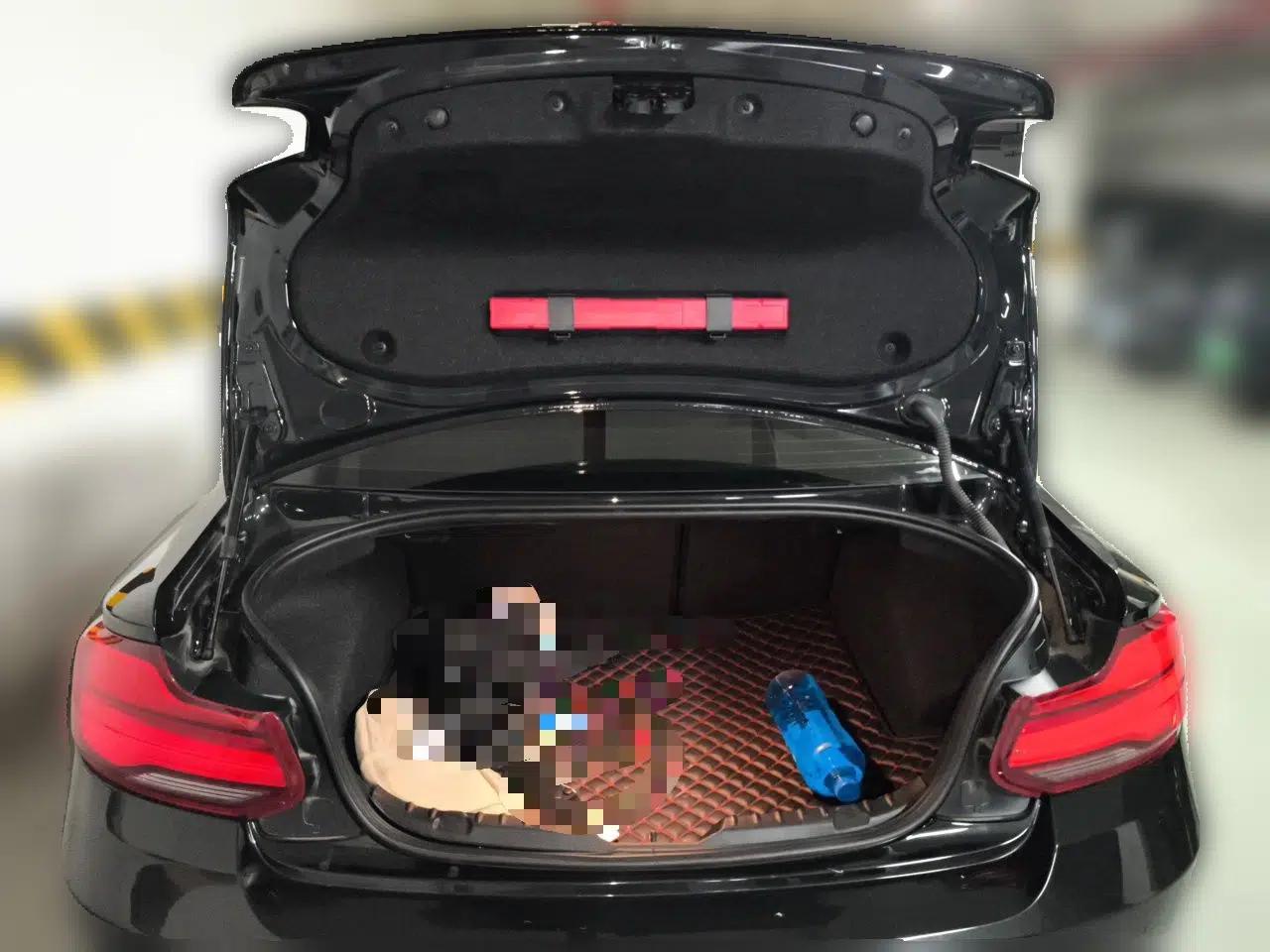 BMW 2 Series 2018 220i Sport Design Package — миниатюра 19
