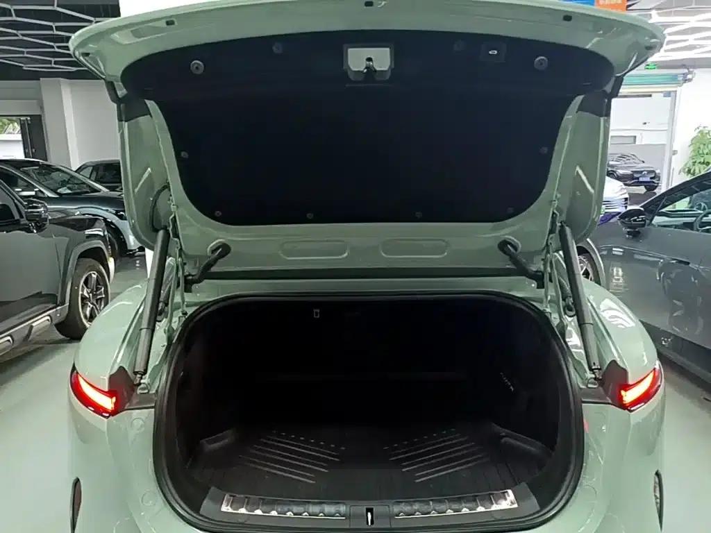 Avita 11 2022 Long Range Dual Motor Luxury Edition 5-Seater — миниатюра 19