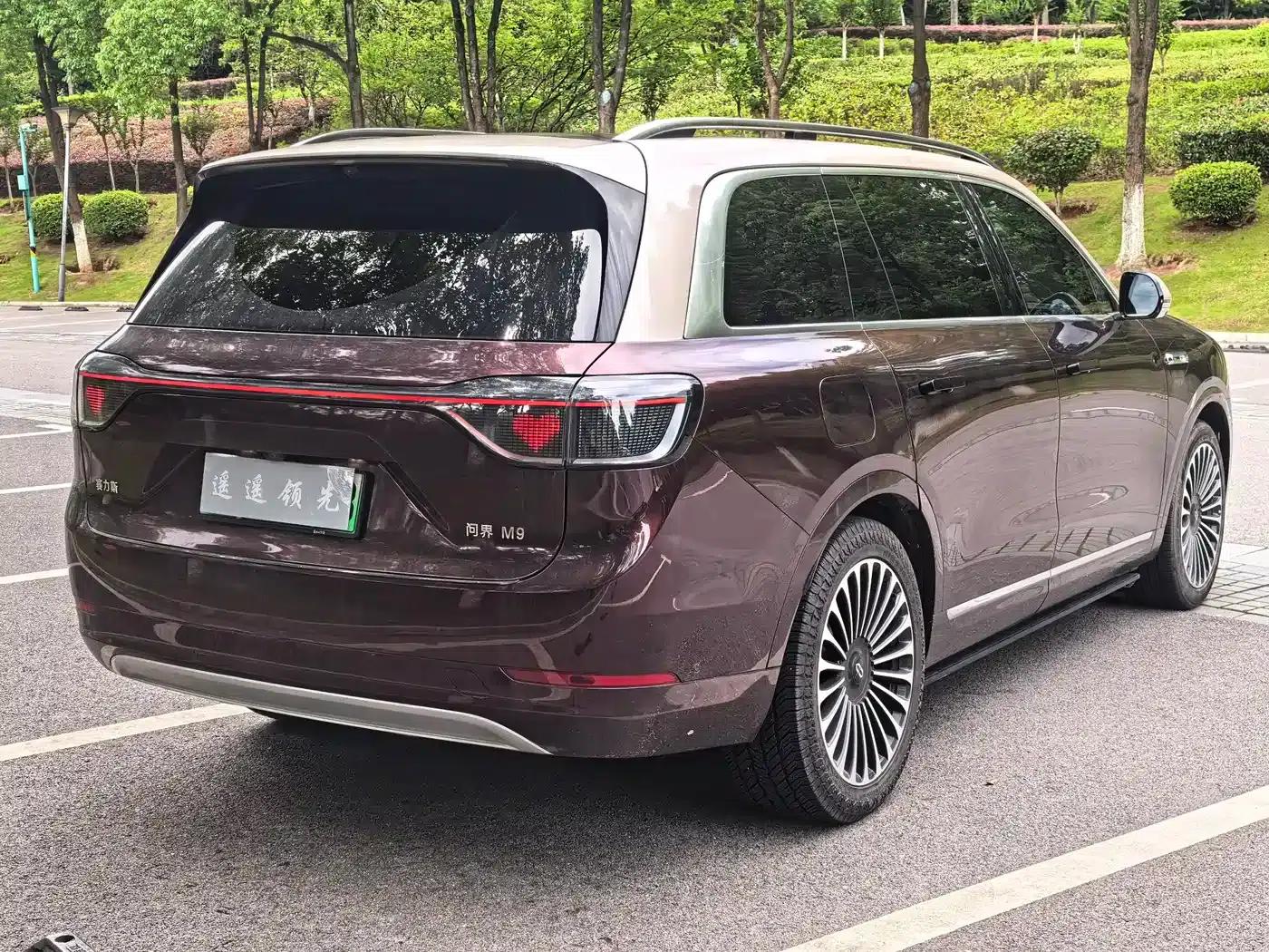 Wenjie M9 2024 Range Extended Max Edition 42kWh 5-Seater — миниатюра 7