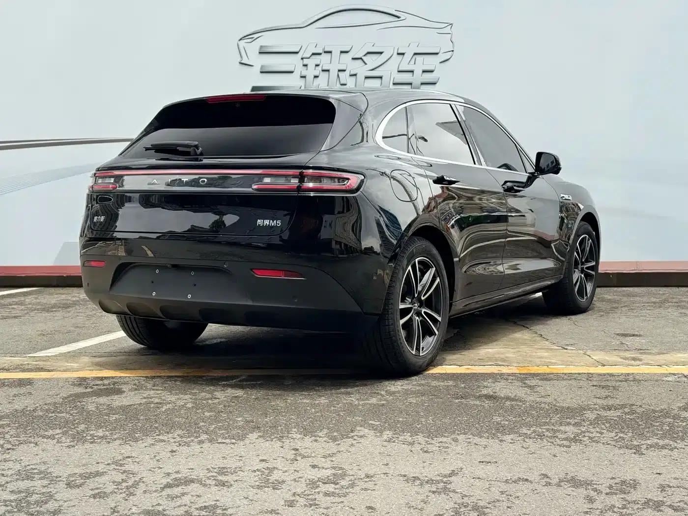 Wenjie M5 2024 Range Extended Max Rear-Wheel Drive High-End Intelligent Driving Edition — миниатюра 6