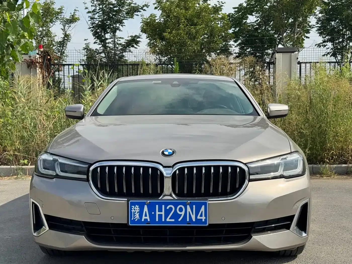 BMW 5 Series 2021 530Li Leading Luxury Package — миниатюра 1