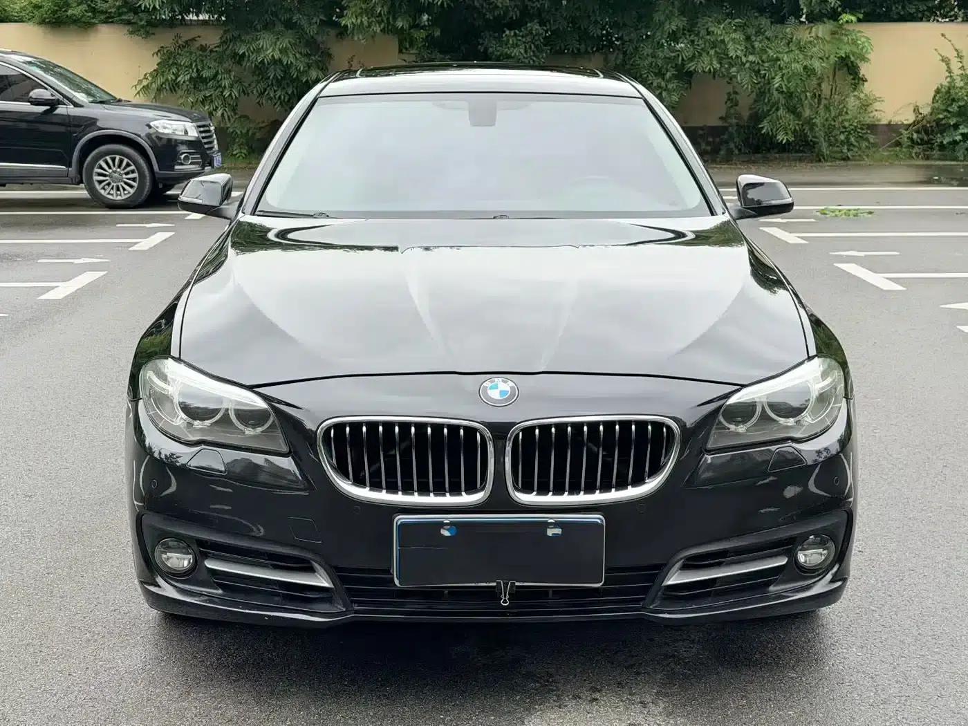 2014 BMW 5 Series 528Li Leading Edition — миниатюра 2