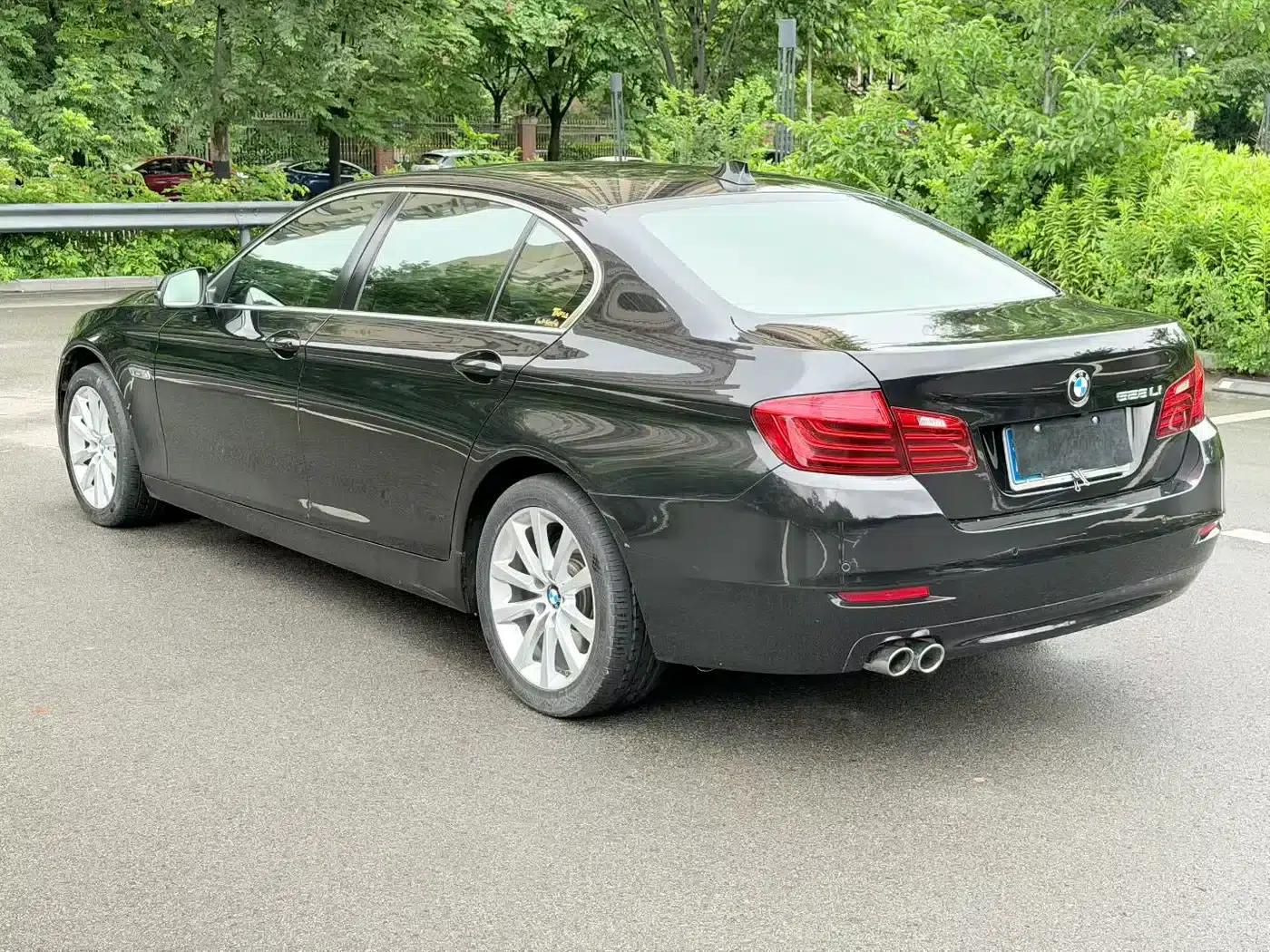 2014 BMW 5 Series 528Li Leading Edition — миниатюра 7