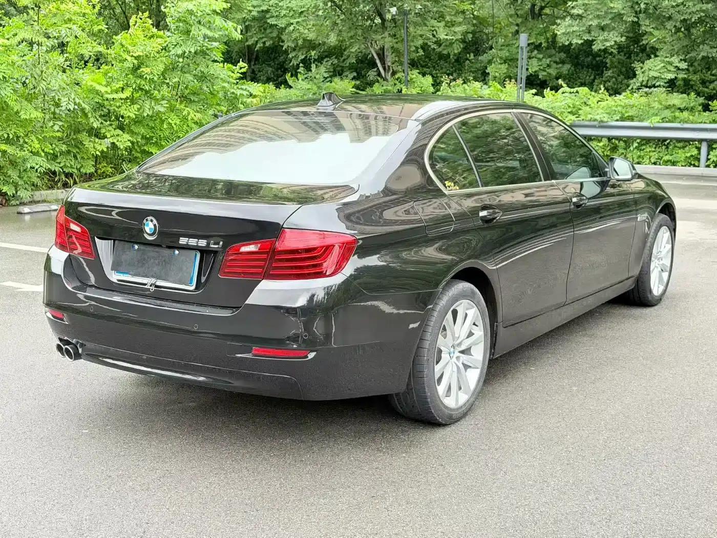 2014 BMW 5 Series 528Li Leading Edition — миниатюра 9
