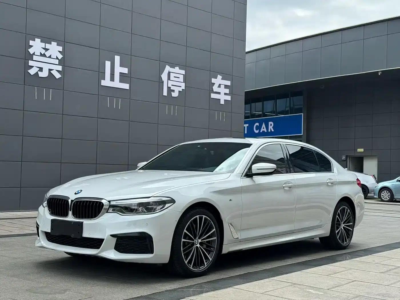 2020 BMW 5 Series 530Li Leading Edition M Sport Package — миниатюра 1