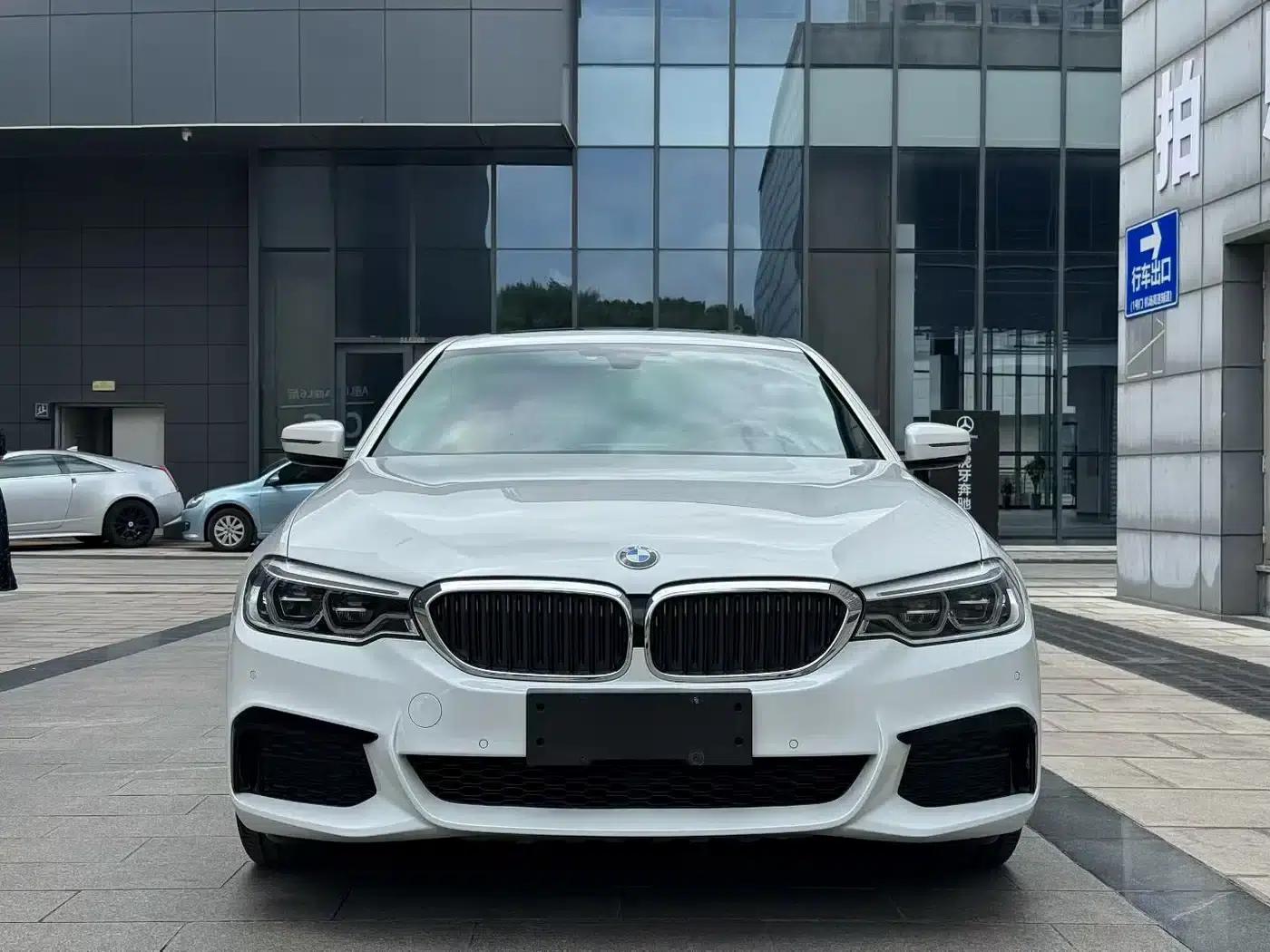 2020 BMW 5 Series 530Li Leading Edition M Sport Package — миниатюра 2