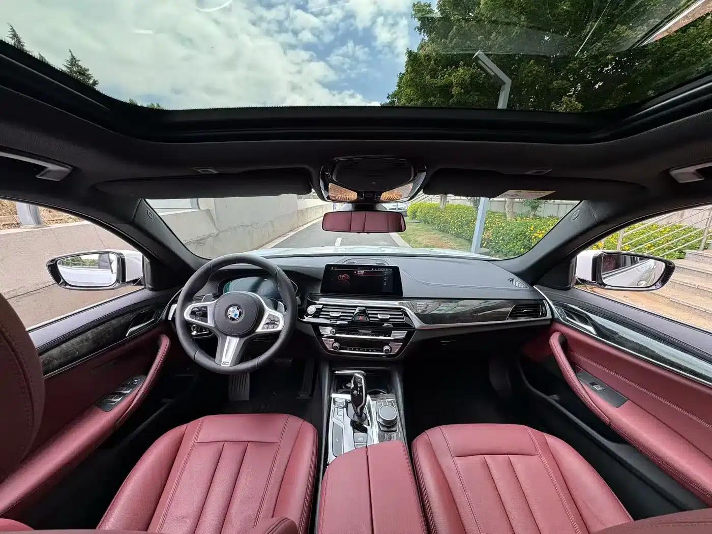 2020 BMW 5 Series 530Li Leading Edition M Sport Package — миниатюра 5