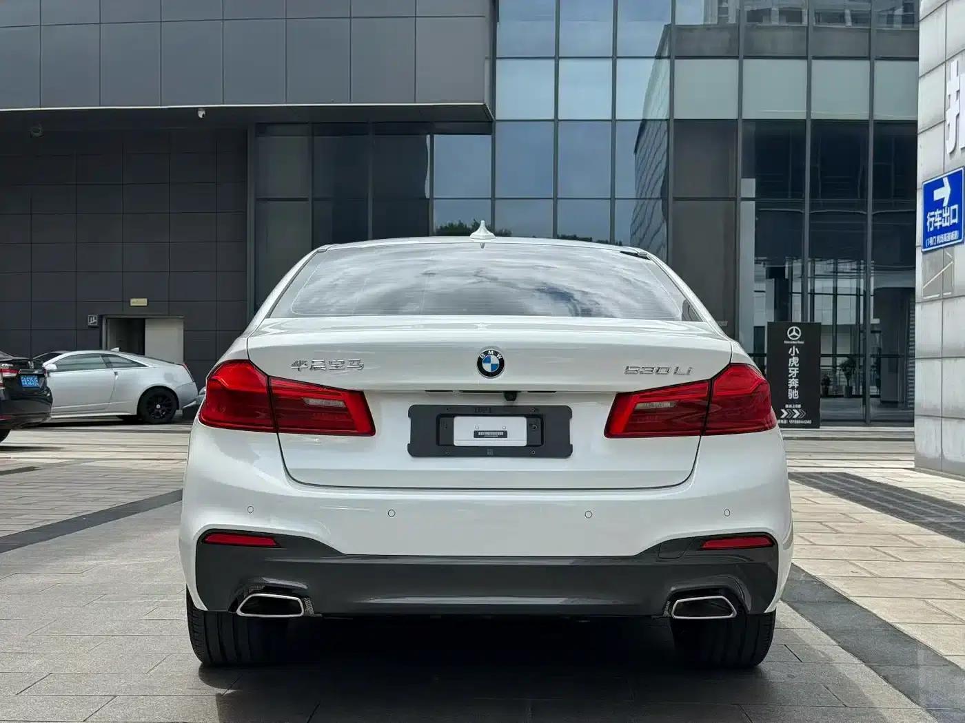 2020 BMW 5 Series 530Li Leading Edition M Sport Package — миниатюра 8