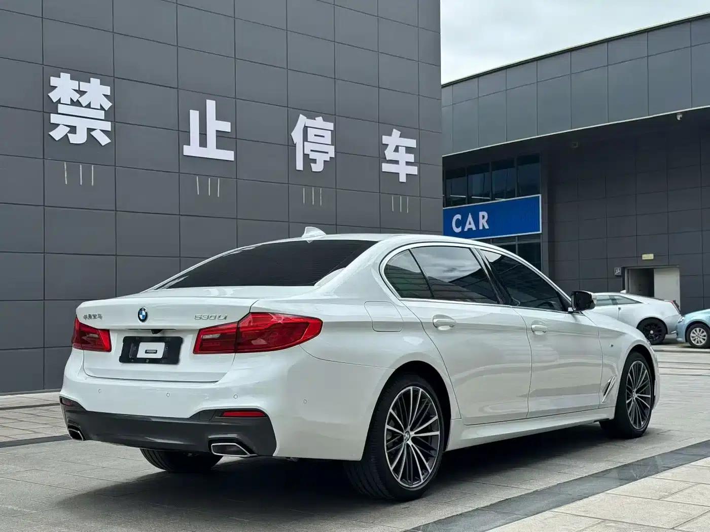 2020 BMW 5 Series 530Li Leading Edition M Sport Package — миниатюра 9